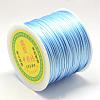 Nylon Satin Rattail Cords NWIR-R025-1.0mm-365-2