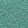 TOHO 11/0 Round Beads X-SEED-TR11-0132-2