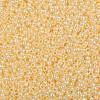 TOHO Round Seed Beads SEED-JPTR08-0903-2