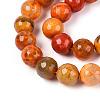 Dyed & Heated Natural Fire Crackle Agate Beads Strands G-N359-01B-09-4