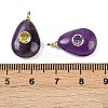 Natural Amethyst Pendants G-H322-01G-01-3