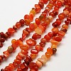 Nuggets Natural Red Carnelian Beads Strands G-N0128-69-1