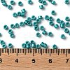 Baking Paint Glass Seed Beads SEED-S042-15A-17-4