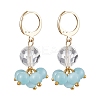 Round Cat Eyes Leverback Earrings EJEW-JE05841-1