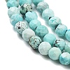 Natural HuBei Turquoise Beads Strands LS-G-G792-38-01-3