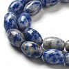 Natural Blue Spot Jasper Beads Strands G-B106-B29-01-4