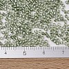 MIYUKI Delica Beads X-SEED-J020-DB2378-4
