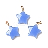 Glass Pendants GLAA-A004-01C-2