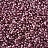 12/0 Grade A Round Glass Seed Beads SEED-N001-D-10/218-2