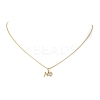 Clear Cubic Zirconia Word No Pendant Necklace NJEW-JN04330-02-1