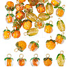 30Pcs 5 Styles Glass & Lampwork Pendants PALLOY-AR00021-1