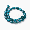 Opaque Solid Color Glass Beads Strands GLAA-E405-02B-I-2