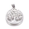 Non-Tarnish 304 Stainless Steel Pendants STAS-F219-04P-2