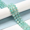 Natural Amazonite Beads Strands G-P508-A08-01-2