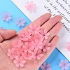 Transparent Acrylic Beads LS-MACR-S373-107-D05-6