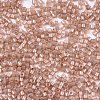 FGB 11/0 Grade A Baking Paint Glass Seed Beads X-SEED-S030-1145-2
