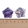 Natural Colorful Fluorite Carved Pendants G-B097-01A-16-3