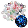 Luminous Transparent Resin Inner Flower Beads RESI-C070-05B-1