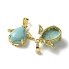 Synthetic Turquoise Pendants KK-F888-01G-22-2
