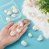 15Pcs Mini Natural Spiral Shell Beads FIND-PH0026-80-3