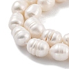 Natural Cultured Freshwater Pearl Beads Strands PEAR-P062-13A-4
