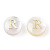 Natural Freshwater Shell Beads SHEL-N036-01R-4