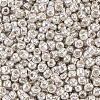 50G Glass Seed Beads SEED-PA0001-36C-01-7