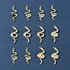12Pcs 2 Styles Rack Plating Alloy Pendants FIND-FS0003-69-9