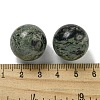 Natural Rhyolite Jasper Round Ball Figurines Statues for Home Office Desktop Decoration G-P532-02A-11-3