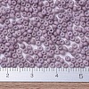 MIYUKI Round Rocailles Beads X-SEED-G007-RR2025-4