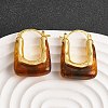 Brass Resin Hoop Earrings EJEW-P333-11B-G02-1