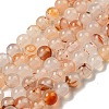 Natural Red Dendritic Agate Beads Strands G-A232-A02-02-2