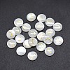 Shell Cabochons SSHEL-E568-A03-2