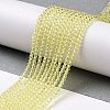 Transparent Glass Beads Strands GLAA-H021-03-04-3