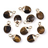 Natural Tiger Eye Charms G-N326-58C-1