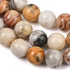Natural Crazy Lace Agate Beads Strands G-S259-38-10mm-6