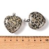 Natural Dalmatian Jasper Pendants GG-CBAA0EE-04P-17-3