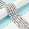 Potato Electroplated Natural Cultured Freshwater Pearl Beads Strands PEAR-TAC0002-01A-4