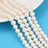 Natural Cultured Freshwater Pearl Beads Strands PEAR-I007-07X-06A-1