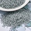 MIYUKI Delica Beads SEED-X0054-DB1770-1