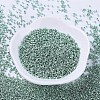 MIYUKI Delica Beads X-SEED-J020-DB0415-2