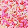 Baking Paint Glass Seed Beads X-SEED-S042-05A-08-3
