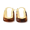 Brass Resin Hoop Earrings EJEW-P333-11B-G02-4
