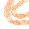 Natural Trochus Shell Beads Strands SHEL-K006-19-01G-3