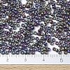 MIYUKI Round Rocailles Beads X-SEED-G007-RR0477-4