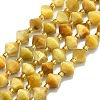 Natural Tiger Eye Beads Strands G-I376-B17-01-1