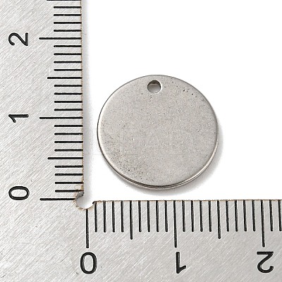 Non-Tarnish Textured Flat Round 304 Stainless Steel Pendants STAS-G218-06P-1