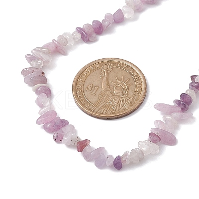 Natural Lepidolite/Purple Mica Stone Chip Beaded Necklace NJEW-JN04616-04-1