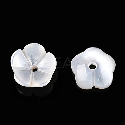Natural White Shell Beads SSHEL-S260-053-1