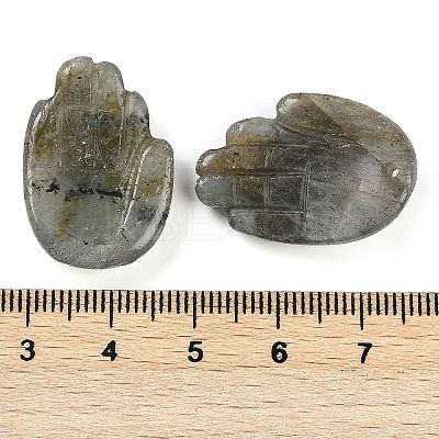 Natural Labradorite Pendants G-K359-03E-1